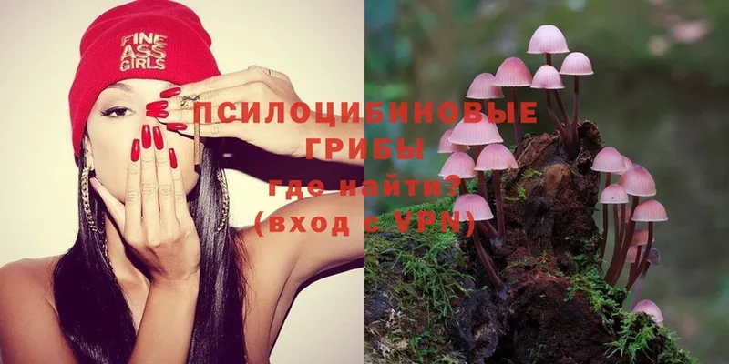 купить наркотик  площадка наркотические препараты  Галлюциногенные грибы Magic Shrooms  Льгов 